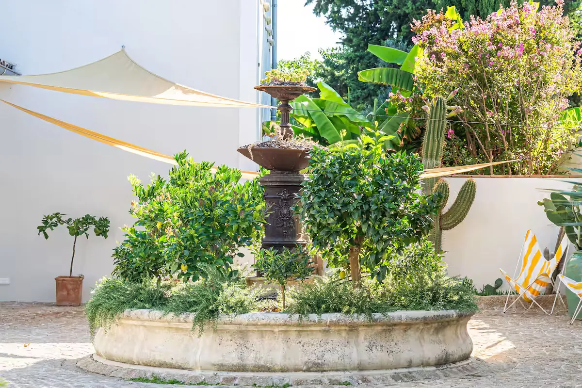 Jardin du Mas des Alpilles